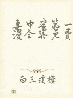 妻中蜜第一季动漫全集免费观看封面