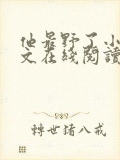 他最野了小说全文在线阅读