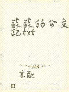 苏苏的公交车日记txt封面