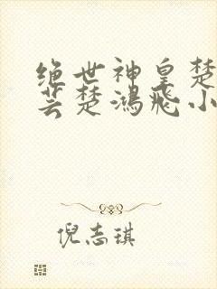 绝世神皇楚风楚芸楚鸿飞小说