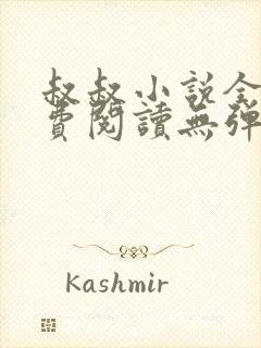 叔叔小说全文免费阅读无弹窗最新章节列表