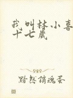 我叫林小喜今年十七岁