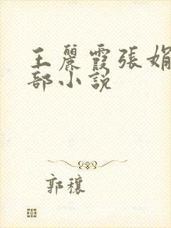 王丽霞张娟第六部小说