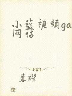 小蓝视频gay网站