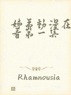 姊弟动漫在线观看第一集