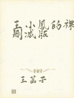 王小凤的裸体无删减版封面