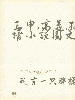 王申,高义,孙倩小说图文在线阅读