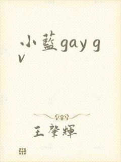 小蓝gay gv封面