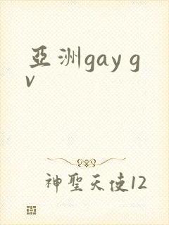 亚洲gay gv