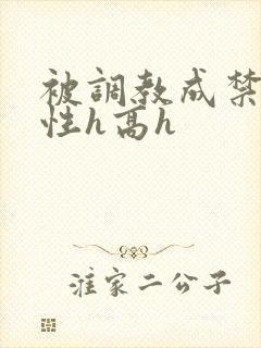 被调教成禁脔双性h高h