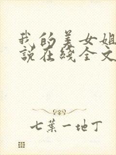 我的美女姐姐小说在线全文阅读封面