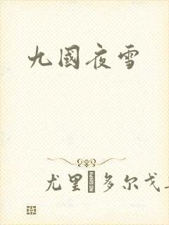 九国夜雪