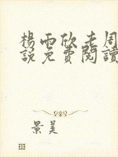 杨雨欣老周的小说免费阅读封面