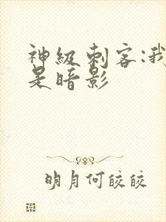 神级刺客:我即是暗影