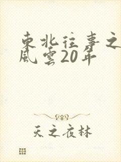 东北往事之黑道风云20年