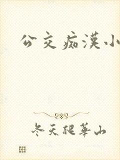 公交痴汉小说封面