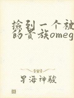 捡到一个被抹布的贵族omega