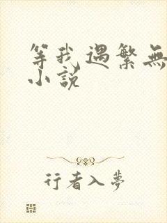 等我遇繁无删减小说