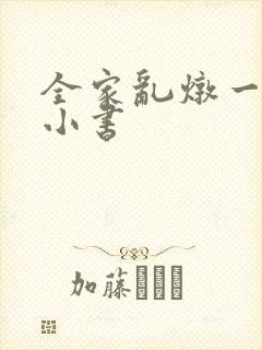 全家乱炖一锅烩小书