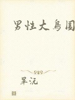 男性大鸟图片封面