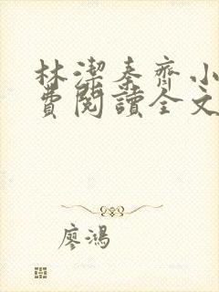 林洁秦齐小说免费阅读全文最新章节