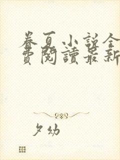 眷夏小说全文免费阅读最新章节