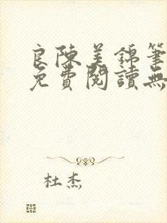 良陈美锦笔趣阁免费阅读无弹窗