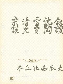 宋清雪沈叙安小说免费阅读最新章节