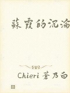 苏霞的沉沦封面