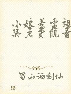 小娘惹电视剧全集免费观看完整版封面