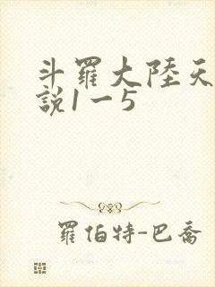 斗罗大陆天狂传说1一5封面