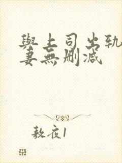 与上司出轨的人妻无删减封面