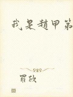 我是赵甲第小说