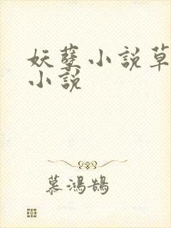 妖孽小说草莓酱小说