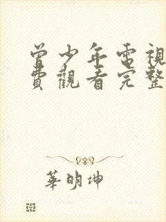 曾少年电视剧免费观看完整版高清封面