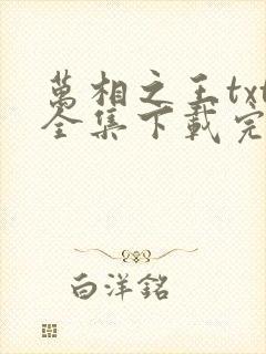 万相之王txt全集下载完本免费封面