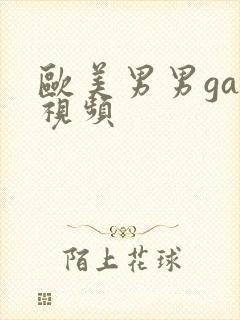 欧美男男gay视频