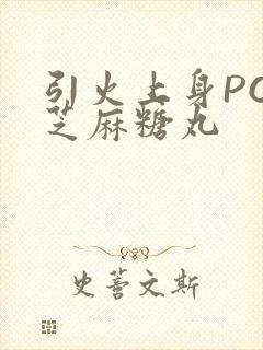 引火上身POP芝麻糖丸