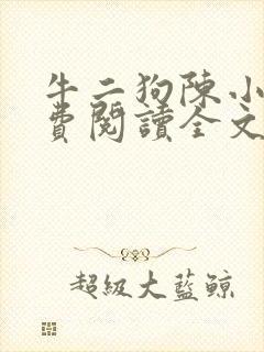 牛二狗陈小燕免费阅读全文