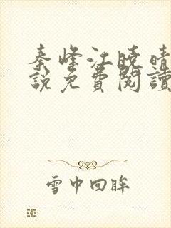 秦峰江晓晴的小说免费阅读