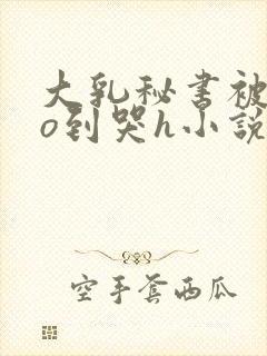 大乳秘书被cao到哭h小说封面