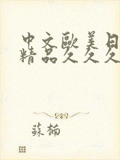 中文欧美日韩,精品久久久久久