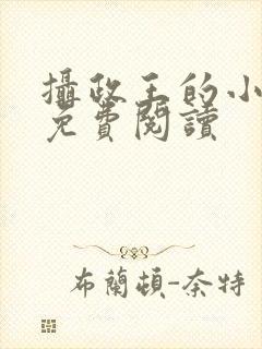 摄政王的小狂妃免费阅读封面