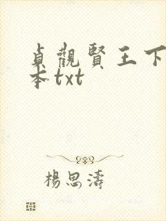 贞观贤王下载全本txt封面