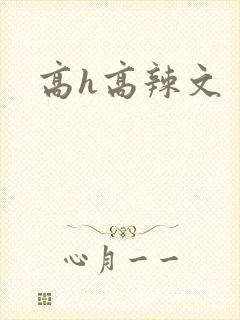 高h高辣文