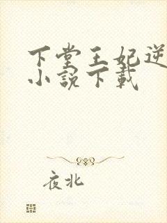 下堂王妃逆袭记小说下载