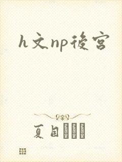 h文np后宫
