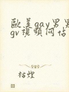 欧美gay男男gv视频网站