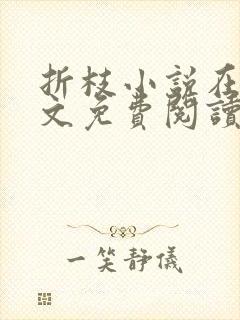 折枝小说在线全文免费阅读无弹窗