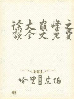 徐大巅峰之路小说全文免费阅读